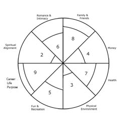 coaching life wheel